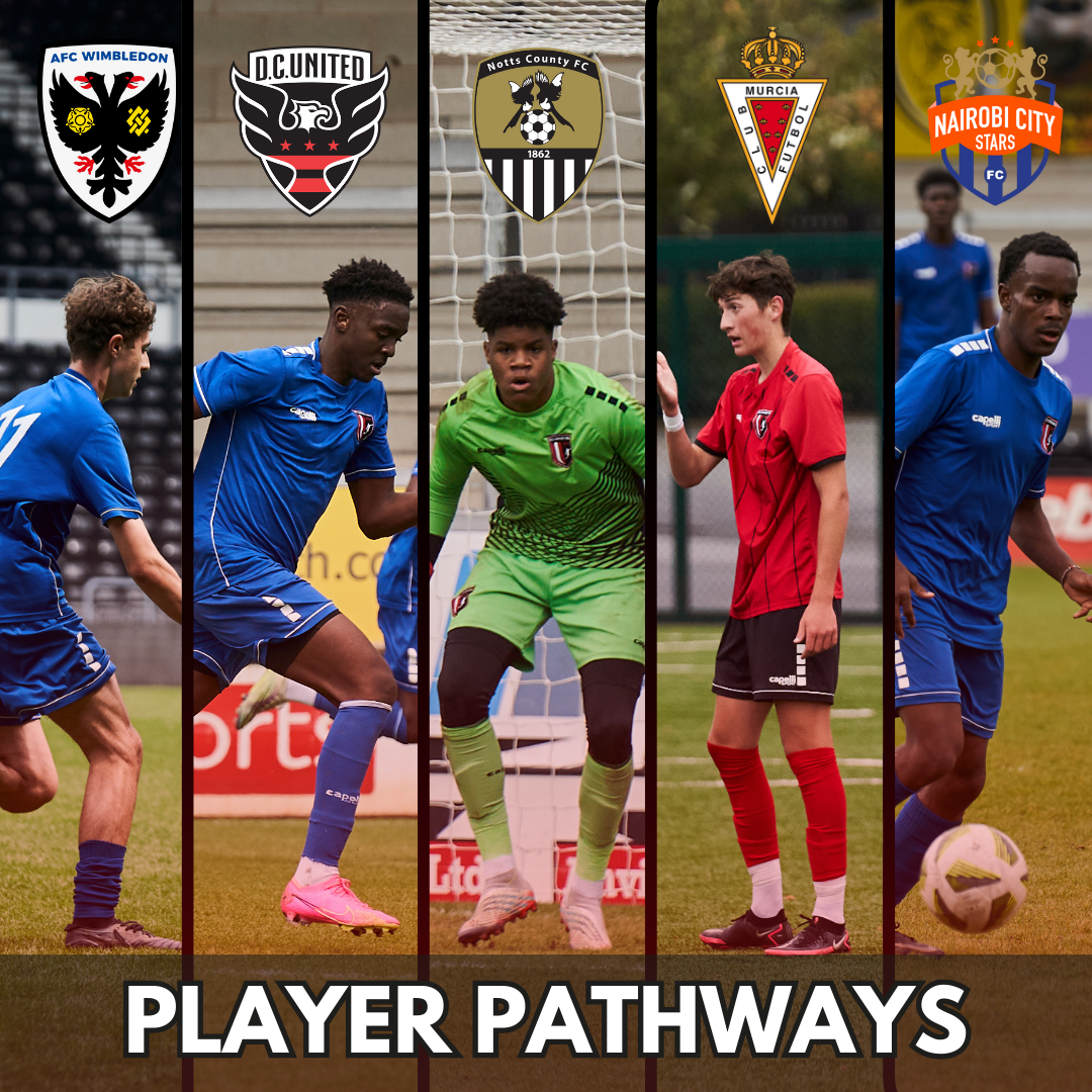 Player pathways graphic